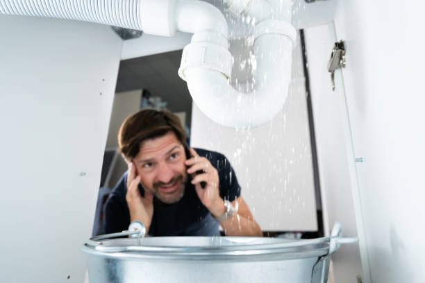 Best Septic Systems  in Cayuga, IN