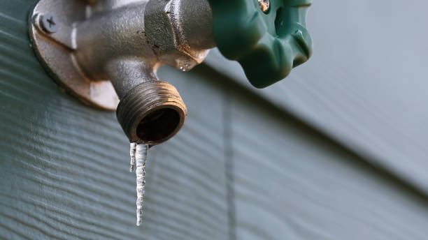 Best Pipe Repair Near Me  in Cayuga, IN